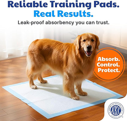American Kennel Club Scented Puppy Training Pads with Ultra Absorbent Quick Dry Gel – 28 x 30 Pee Pads for Dogs - Fresh Scented - 50 Count, XL