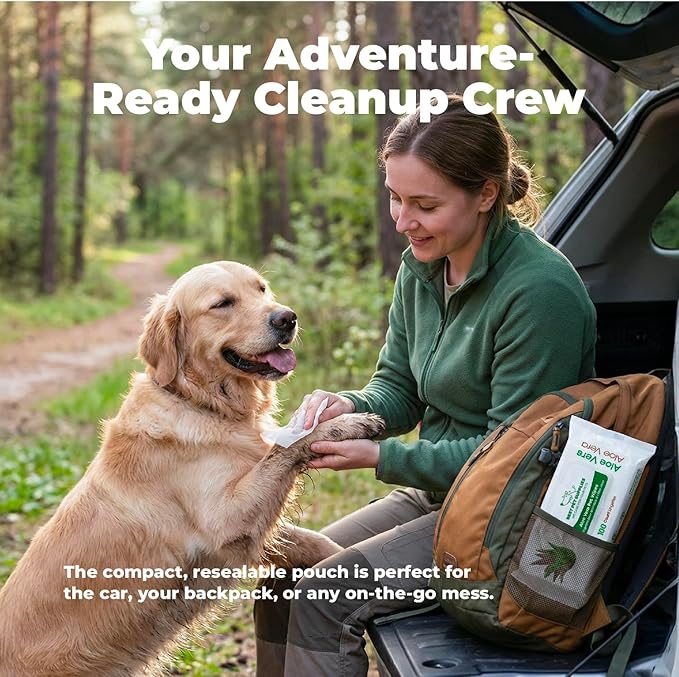 Best Pet Supplies 8" x 9" Large Unscented Dog Wipes - Cleaning and Deodorizing for Paws and Coat - Gentle Formula with Aloe Vera Vitamin E for Puppies and Cats - 400 Count