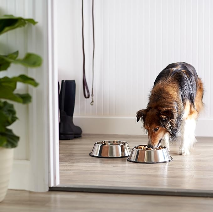 Amazon Basics Stainless Steel Non-Skid Dog Water And Food Bowls, Dishwasher Safe, Rust Resistant, 38oz Capacity, 10 x 2.8 Inches, 2-Pack