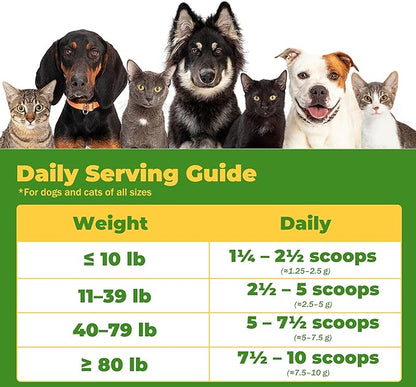 Dog Cough Powder–Relieves Cough, wheezing, tracheal Collapse, and Throat Irritation–Respiratory Health–Immune Support for Dogs in Kennel or Seasonal Challenges–All-Natural Herbal + Vitamin Blend–90g