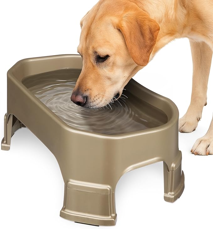 Neater Pet Brands Extra Large Water Bowl for Dogs, Elevated Outdoor Dog Water Bowl (1.25 Gallon XL Capacity), Big Trough Style Food Dish for Indoors or Outside, No Spill Large Dog Bowls, Champagne
