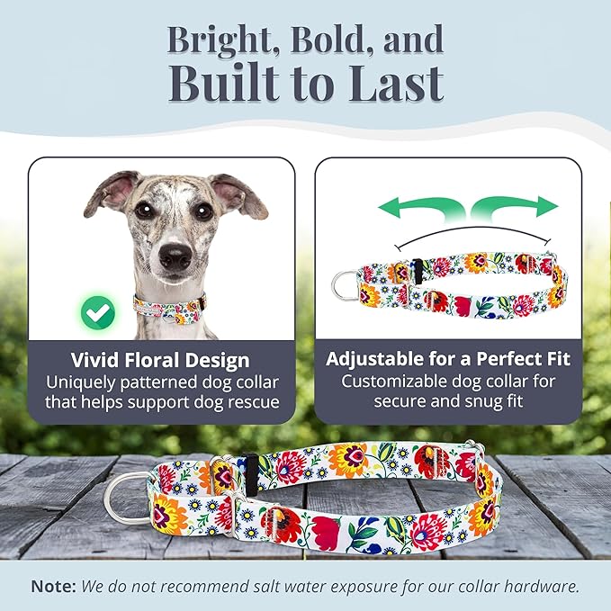 Lucky Love Dog Martingale Dog Collar - Adjustable, No-Slip, Durable, & Soft Webbing Collar for Male and Female Dogs Ideal for Training & Walking - Ladybird, Medium