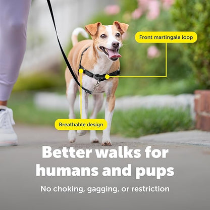 PetSafe Easy Walk No-Pull Dog Harness - The Ultimate Harness to Help Stop Pulling - Take Control & Teach Better Leash Manners - Helps Prevent Pets Pulling on Walks, Petite, Black/Silver