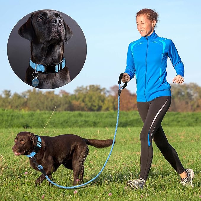 Ladoogo Reflective Dog Collar Padded with Soft Neoprene Breathable Adjustable Nylon Dog Collars for Small Medium Large Dogs (Medium (Pack of 1), Vivid Blue Collar+Leash)