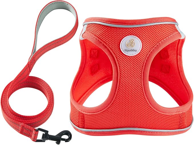 Hipubby Dog Harness and Leash Set, No Pull Soft Mesh Puppy Harness for Small Medium Dogs, Cats - Step in Reflective Breathable Lightweight Vest Harness for Walking, Training - Red, M