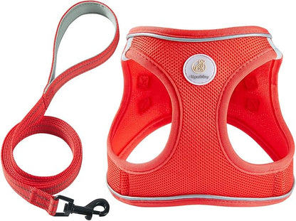 Hipubby Dog Harness and Leash Set, No Pull Soft Mesh Puppy Harness for Small Medium Dogs, Cats - Step in Reflective Breathable Lightweight Vest Harness for Walking, Training - Red, M