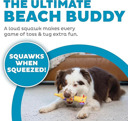 Outward Hound by Charming Pet Squawkers Henrietta Latex Squeaky Rubber Chicken Dog Toy, Funny Interactive Holiday Toy for Dogs, Small Size (Pack of 2)