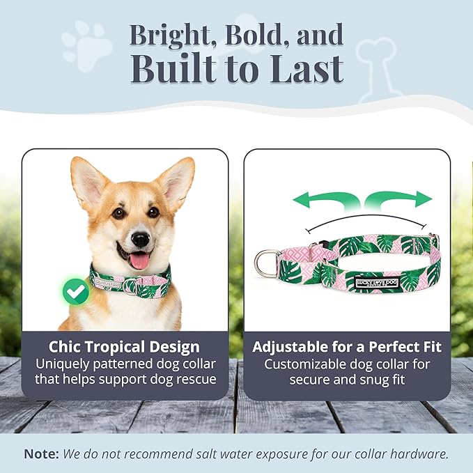 Lucky Love Dog Martingale Dog Collar & Leash - Adjustable, No-Slip, Durable, Comfortable, Soft Webbing, & Stylish Patterned Collar & Leash Set for Male and Female Dogs - Laguna Mart Combo, Small