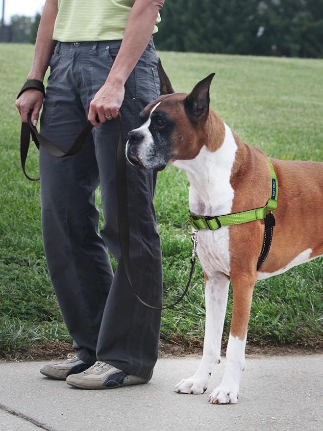 PetSafe Easy Walk Deluxe Dog Harness, No Pull Dog Harness – Perfect for Leash & Harness Training – Stops Pets from Pulling and Choking on Walks – Medium, Apple