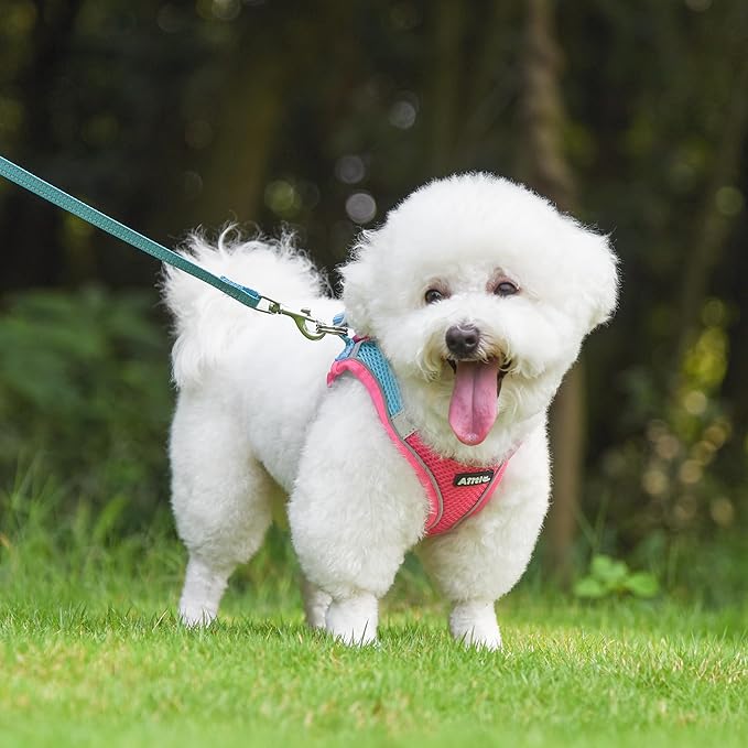 AIITLE Escape Proof Dog Harness - Step in Adjustable Dog Harness No Choke Over with Breathable Mesh and Quick-Release Buckle for All Weather- Outdoor Walking, Training for Medium Dogs Hot Pink XL