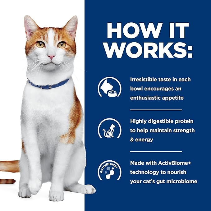 Hill's Prescription Diet ONC Care Dry Cat Food, Chicken, Veterinary Diet, 7 lb. Bag