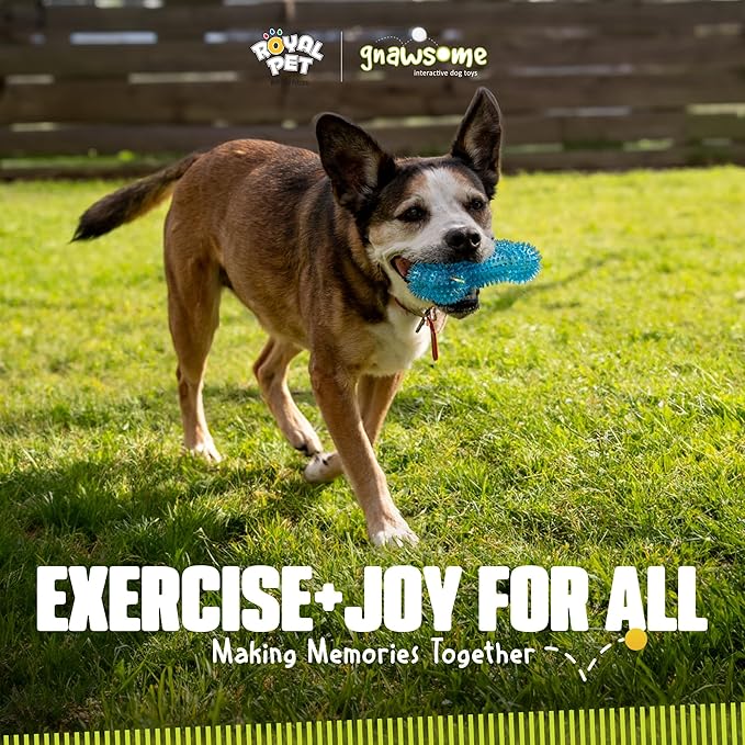 Gnawsome Dog Toys - 6.5” Spiky Squeaker Bone - Medium - Dental & Gum Wellness - Stimulating Fun - Hidden Squeaker - Durable for Heavy Chewers - 100% BPA-Free - Assorted Colors