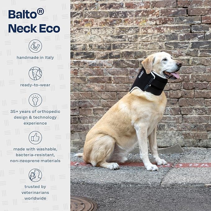 Balto Neck Eco Soft Recovery Collar for Dogs – E-Collar Alternative for Post-Surgery, Allergy Relief & Wound Protection – Adjustable, Breathable, Washable Cone – Vet-Approved (Extra Extra Small)