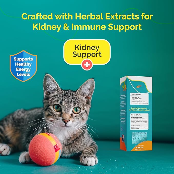 Kidney Support Drops | Cat Health & Wellness Drops with Rehmannia | Liquid Vitamins & Supplements for Kidney Function | Natural Cat Wellness Formula | 80 ml