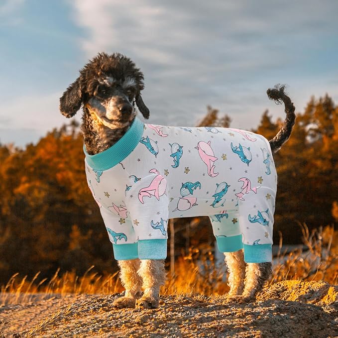 Dog Surgery Recovery Suit, Dog Onesie for Surgery Female Male Dogs, Dogs Pajamas Long Sleeve, Small Dogs Onesie, Abdominal Wound Bandages Surgical Suit, Cat Recovery Suit for Shedding Skin Disease