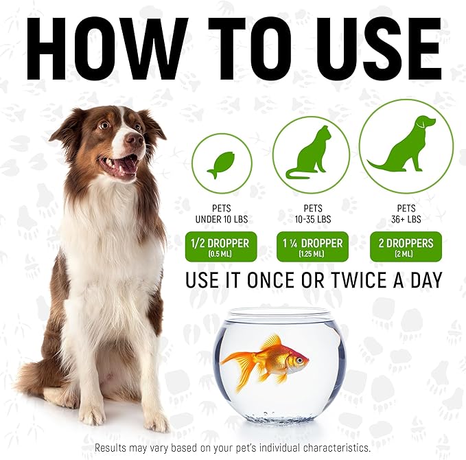 Pet Antibiotics for Cats, Dogs, Rabbits – Works Well As Fish, Poultry, Reptile, Turtle, & Chicken Antibiotics – Helps with UTIs, Allergies, Runny Nose – Herbal Supplement for Digestive Support – 2 Oz