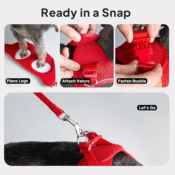 PetiFine Cat Harness and Leash Set,Escape Proof Kitten Harness Reflective,Soft Lightweight Puppy Harness for Walking and Travelling(XXS, Red)