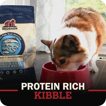 Redbarn Grain-Free Large Breed Dog Food Kibble - Beef & Lamb Recipe - Made in USA No Chicken Recipe with Functional Ingredients to Support Healthy Heart, Joints, Digestion, Skin & Coat - 15lb