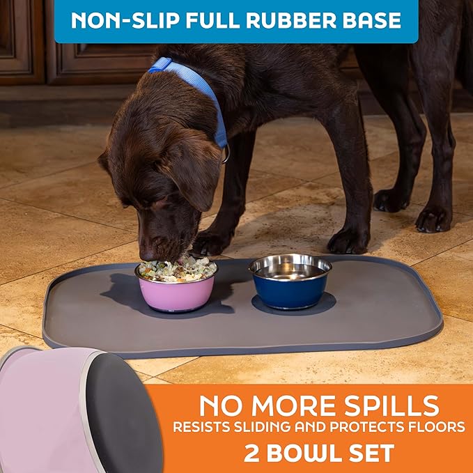 Master Pet Supply Stainless Steel Dog Bowls Set of 2 (16 Oz Each) with Non-Slip Rubber Base - Rose Quartz - Basic Dog Food Bowl Water & Food Bowls for Small Medium Large Dogs & Cats, Metal Dish
