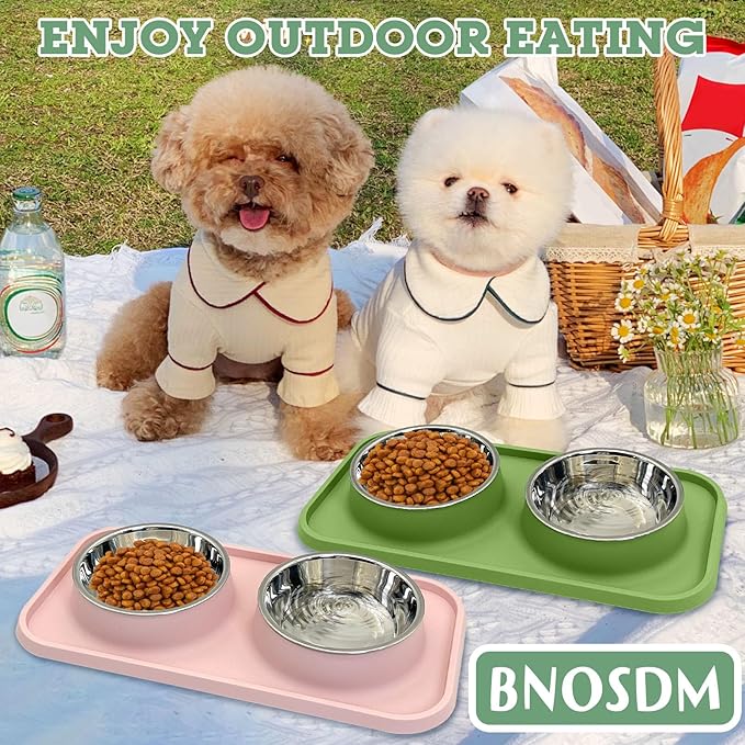 BNOSDM 2 Pcs Double Dog Food Bowls Stainless Steel Small Dog Food and Water Bowls with Non-Spill Plastic Mat Pet Cat Feeder Dish Set for Puppy Cats Kitten (Pink and Drak Green)