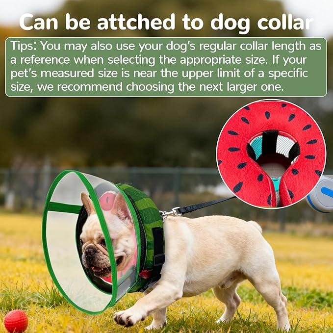Inflatable Dog Cone Collar with Anti-Licking Clear Shield, Adjustable Elizabethan Collar, Soft Recovery Collar for Dogs, Dog Cones Alternatives for Large Medium Small Dogs & Cats