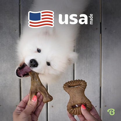 Benebone 2 Count (Pack of 1) Wishbone/Dental Durable Dog Chew Toys, Real Bacon, Made in USA, Small