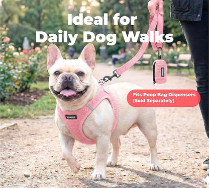 Best Pet Supplies Voyager Reflective Dog Leash or Collar with Neoprene Handle, for Small, Medium, and Large Breed Puppies, Cute and Heavy Duty for Walking, Running and Training - Soft Pink (Leash), M