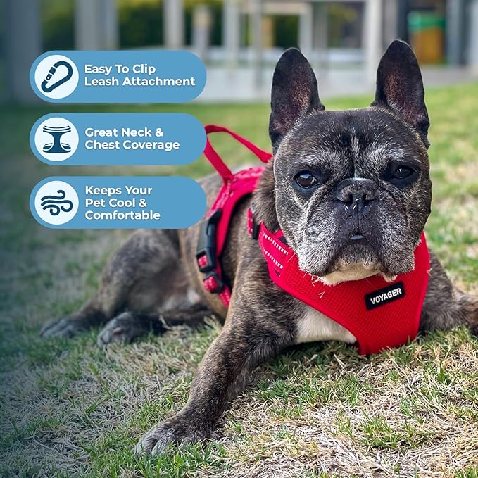 Best Pet Supplies Voyager Adjustable Step-in Flex Breathable Mesh Dog Harness for Small Medium Large Dogs (Red), S