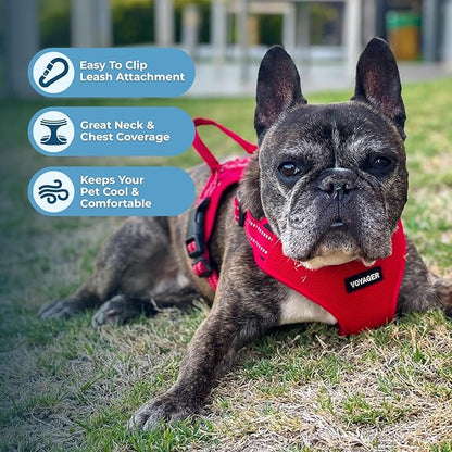 Best Pet Supplies Voyager Adjustable Step-in Flex Breathable Mesh Dog Harness for Small Medium Large Dogs (Red), S