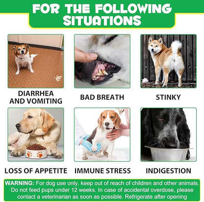 Probiotics for Dogs Digestive Health, Digestive Soft Chews for Dogs, Dog Probiotics and Digestive Enzymes, 120 Dog Chews Omega-3 & 6, Vitamin, Improve Digestion, Immunity