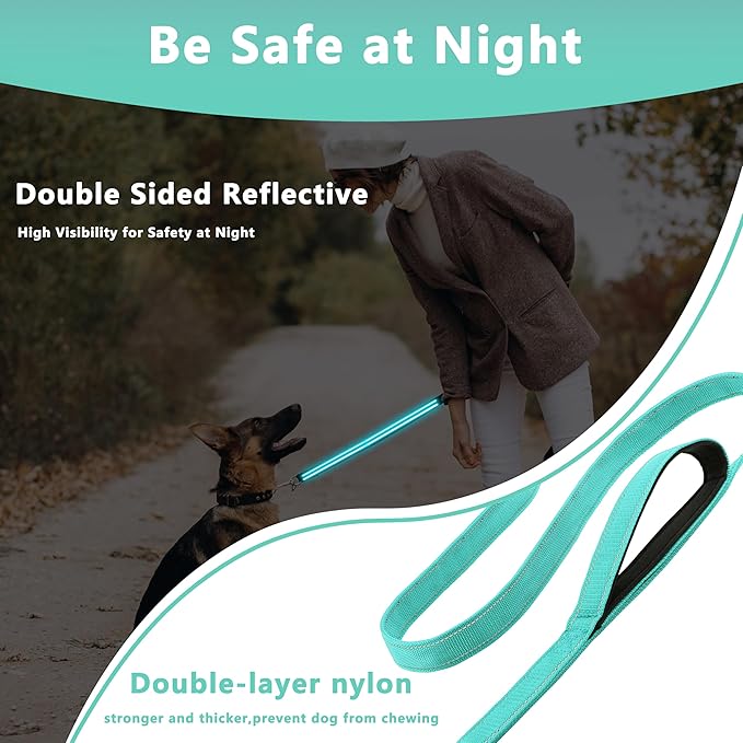 Dog Leash 6ft Long, Double Handle Dog Leash for Safety Control Training, Heavy Duty Dog Leads with Traffic Padded Handles, Reflective Leashes for Small Medium Large Dogs(6ft, Turquoise)