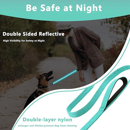 Dog Leash 6ft Long, Double Handle Dog Leash for Safety Control Training, Heavy Duty Dog Leads with Traffic Padded Handles, Reflective Leashes for Small Medium Large Dogs(6ft, Turquoise)