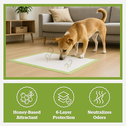 Pogi’s Dog Pads with Sticky Tabs – Large, Super Absorbent, Odor Blocking, 20-Count (24x24in)