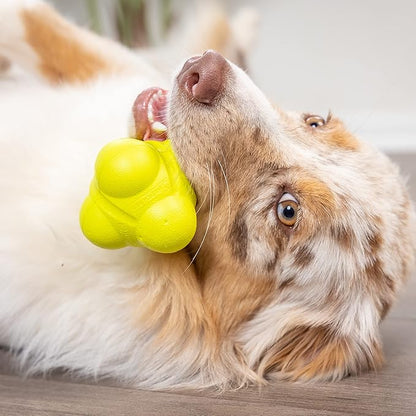 Hyper Pet Fetching Dog Toys - Throwing Bumpy Ball Dog Toy Made with EVA Foam - Lightweight & Floats on Water (Pack of 5)