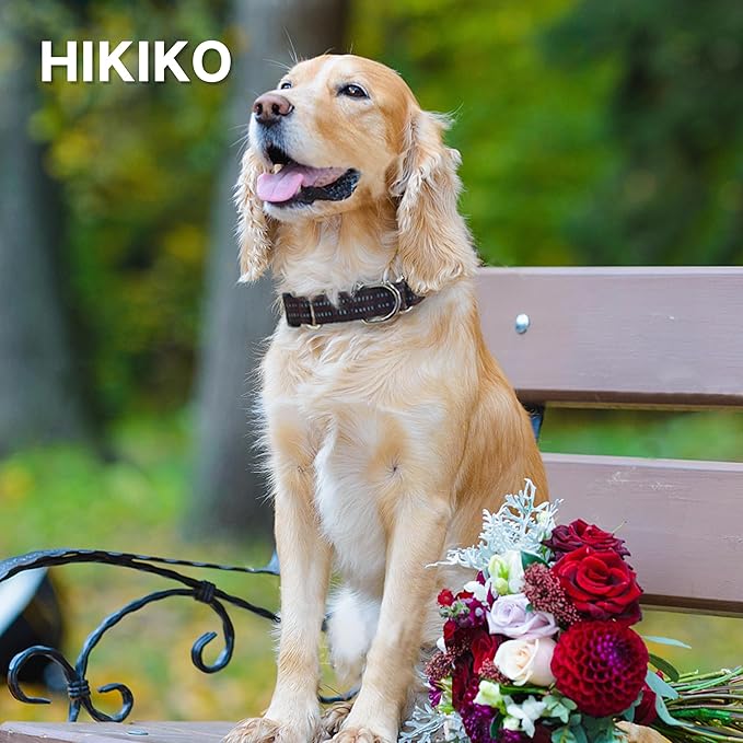 Hikiko Martingale Dog Collars Reflective Nylon Dog Collar with Quick Release Buckle Adjustable Training No Slip Dog Collar (Small, Coffee Brown)