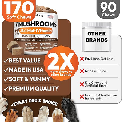 (2 Pack) Turkey Tail Mushroom for Dogs - 340 Chews - Lion’s Mane - Shiitake - Reishi - Buddy Immune Support Guard - Mushroom Supplement for Dogs with Glucosamine, Health Vitamins Multivitamin