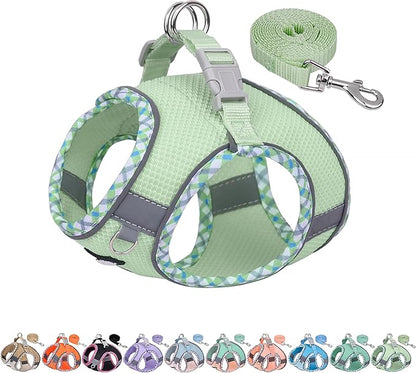 AIITLE Dog Harness and Leash Set - Ultra-Comfortable XXS-XL Vest with Strong Magic Tape & Glow-in-Dark Reflective Strips, Chafe-Free for Teddy, Schnauzer (Sage, M)