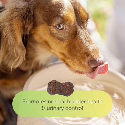 Flo Dog Cranberry Supplement for Dogs by Veterinarian Recommended Solutions - Bladder Control for Dogs - Urinary Tract Support - Cranberry Chews - Immune & Gut Support