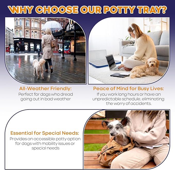 Welpe Dog Potty Tray with Pee Pad Holder - Perfect Indoor Potty Training Solution for Small and Medium Dogs. Say Goodbye to Messy Floors and Enjoy Stress-Free Training Success!