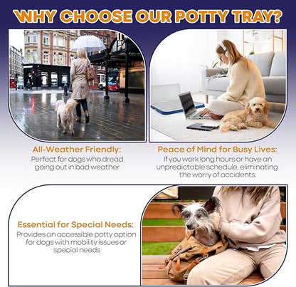 Welpe Dog Potty Tray with Pee Pad Holder - Perfect Indoor Potty Training Solution for Small and Medium Dogs. Say Goodbye to Messy Floors and Enjoy Stress-Free Training Success!