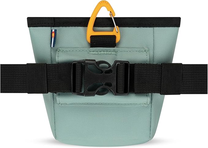 OllyDog Goodie Treat Bag, Dog Treat Pouch, Waist Belt Clip for Hands-Free Training, Magnetic Closure, Dog Training and Behavior Aids, Three Ways to Wear (Surf)