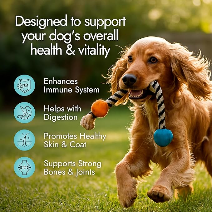 Pet Vet Multi Soft Chews for Dogs (Beef Liver, 60 Chews) – Multi, Probiotics for Digestive Health – Glucosamine, Skin Supplement – Immune Support, Supplements