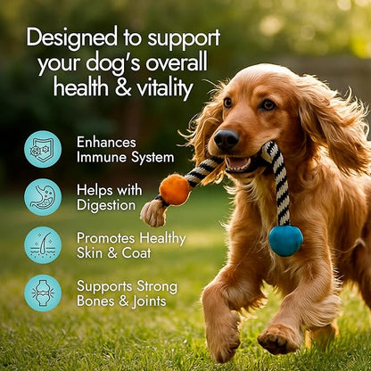 Pet Vet Multi Soft Chews for Dogs (Beef Liver, 60 Chews) – Multi, Probiotics for Digestive Health – Glucosamine, Skin Supplement – Immune Support, Supplements