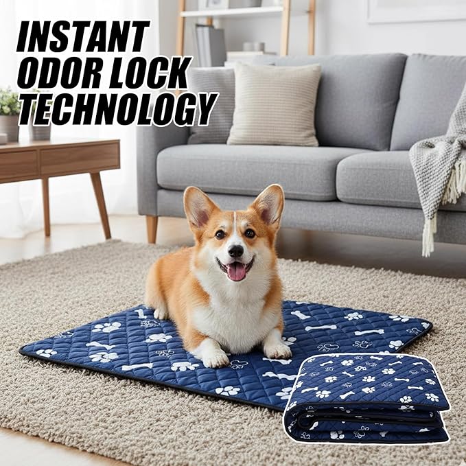 Puppy Pad with Pheromones, Training Pads for Dogs, 30x30cm Blue Bone Design, Includes 3 Random Color Bell Balls, Ideal for Puppy Potty Training, Senior Pet Care, and Travel