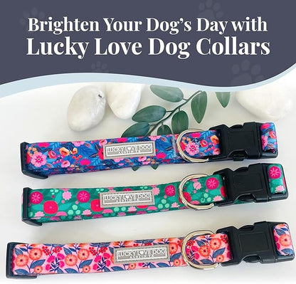 Lucky Love Dog Martingale Dog Collar & Leash - Adjustable, No-Slip, Durable, Comfortable, Soft Webbing, & Stylish Patterned Collar & Leash Set for Male and Female Dogs - Rosie Combo, Small
