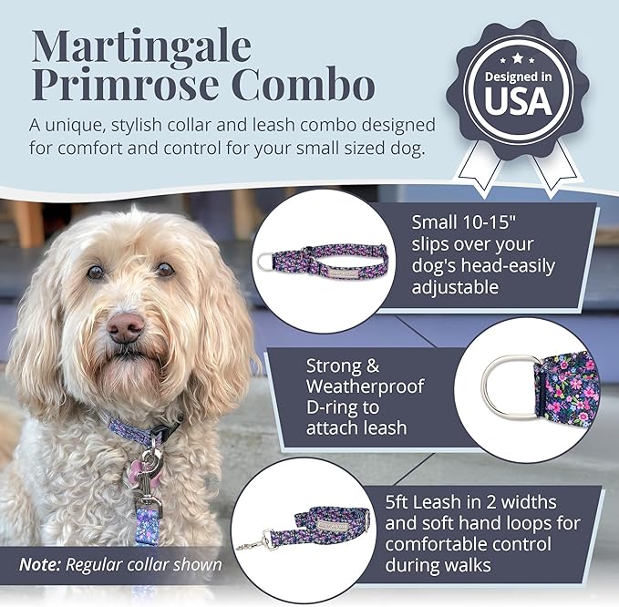 Lucky Love Dog Martingale Dog Collar & Leash - Adjustable, No-Slip, Durable, Comfortable, Soft Webbing, & Stylish Patterned Collar & Leash Set for Male and Female Dogs - Primrose Combo, Small