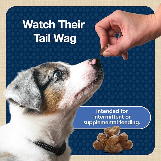 Blue Buffalo Bits Soft Dog Treats for Training, Made with Natural Ingredients & Enhanced with DHA, Chicken Recipe, 11-oz Bag