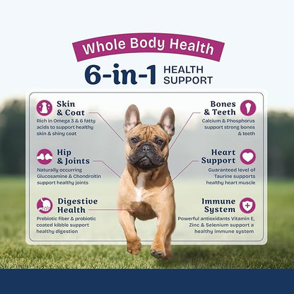 Natural Balance Health Protection Small Breed Dry Dog Food – Whole Body Health, Easy on Digestion Dog Food Made with Chicken, Brown Rice & Pumpkin for Dogs - 12lbs.