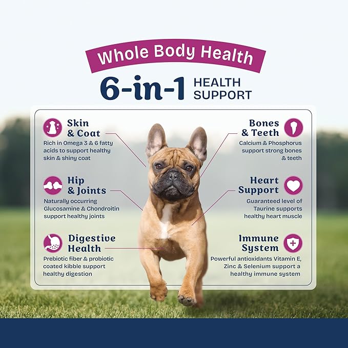 Natural Balance Health Protection Small Breed Dry Dog Food – Whole Body Health, Easy on Digestion Dog Food Made with Chicken, Brown Rice & Pumpkin for Dogs - 4lbs.