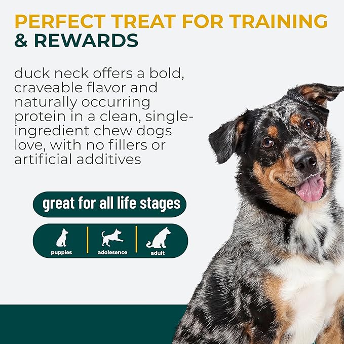Momentum Carnivore Nutrition Freeze-Dried Duck Neck Dog Treats & Cat Treats – Single-Ingredient, High-Protein, Grain-Free, Natural Crunchy Chew – Made in USA – 3 oz Bag